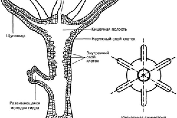 Кракен даркнет актуальная ссылка