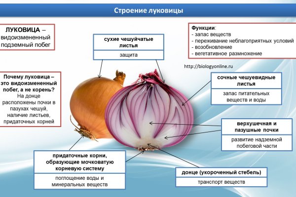 Kraken istand onion