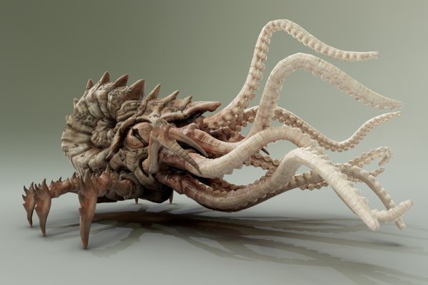 Kraken dark