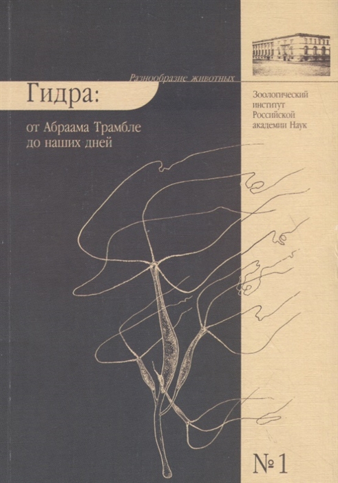 Кракен переход