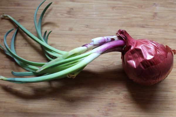 Кракен зеркало onion